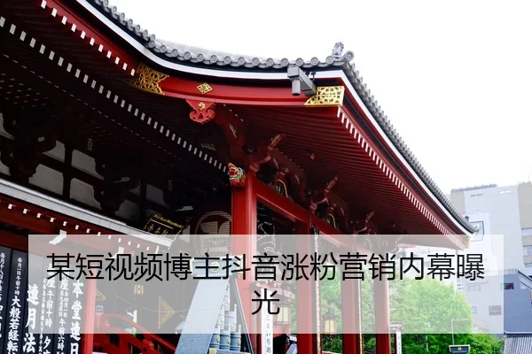 mou-duan-shi-pin-bo-zhu-dou-yin-zhang-fen-ying-xiao-nei-mu-bao-guang-2-358.jpg